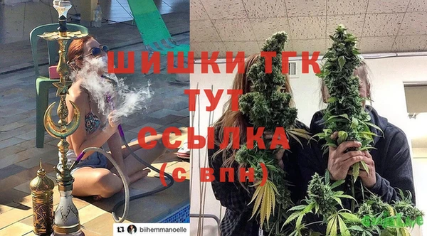 хмурый Краснослободск