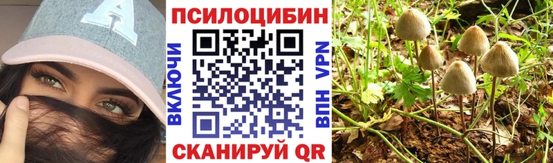 Псилоцибиновые грибы GOLDEN TEACHER  Купить где  Микунь 
